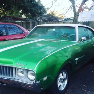 Meet your Posher, Malik